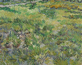 Meadow in the Garden of Saint-Paul Hospital, 1890 von Vincent van Gogh | Leinwand Kunstdruck