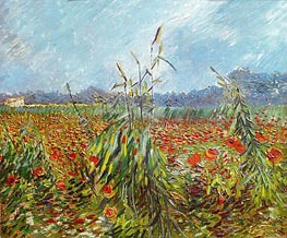 Corn Fields and Poppies, 1888 by Vincent van Gogh | Canvas Print