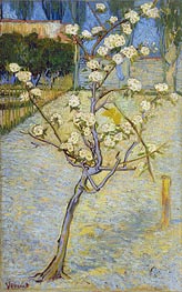 Vincent van Gogh | Blossoming Pear Tree | Giclée Canvas Print
