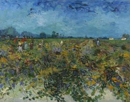 Der grüne Weinberg, 1888 von Vincent van Gogh | Leinwand Kunstdruck