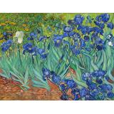 Irises, 1889 - Vincent van Gogh