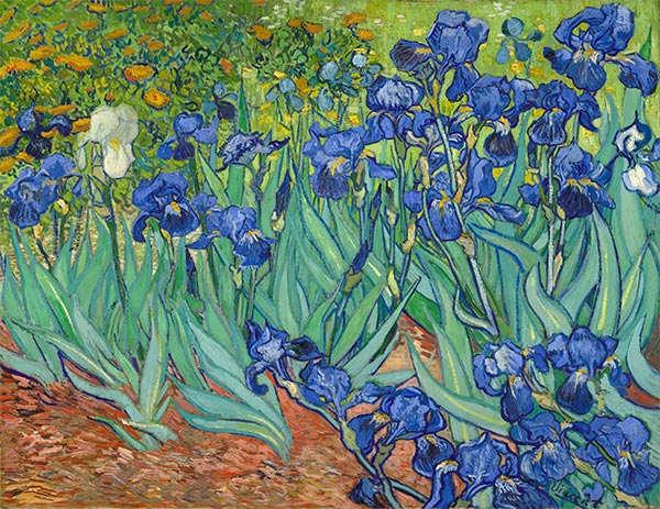 Irises, 1889 | Vincent van Gogh | Giclée Canvas Print
