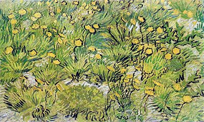 Ein Feld von gelben Blumen, 1889 | Vincent van Gogh | Giclée Leinwand Kunstdruck