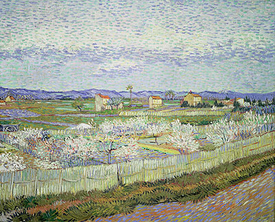 Peach Blossom in the Crau, 1889 | Vincent van Gogh | Giclée Leinwand Kunstdruck