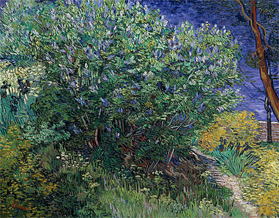 Lilac Bush (Lilacs), 1889 | Vincent van Gogh | Giclée Leinwand Kunstdruck