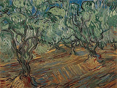 Olive Grove, 1889 | Vincent van Gogh | Giclée Leinwand Kunstdruck