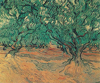 Olive Trees, 1889 | Vincent van Gogh | Giclée Leinwand Kunstdruck