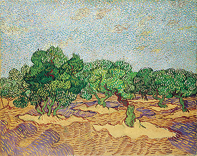 Olive Orchard, 1889 | Vincent van Gogh | Giclée Leinwand Kunstdruck