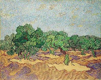 Olivenhain, 1889 | Vincent van Gogh