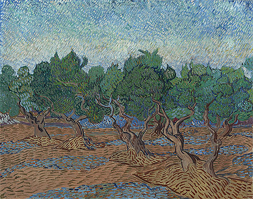 Olive Grove, 1889 | Vincent van Gogh | Giclée Canvas Print