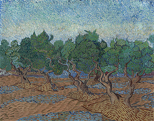 Olivenhain, 1889 | Vincent van Gogh