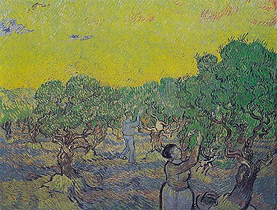 Olivenhain mit pflückenden Figuren, 1889 | Vincent van Gogh