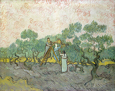 Olivenernte, 1889 | Vincent van Gogh