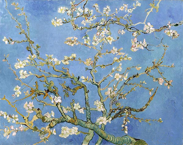 Mandelblüten, 1890 | Vincent van Gogh | Giclée Leinwand Kunstdruck