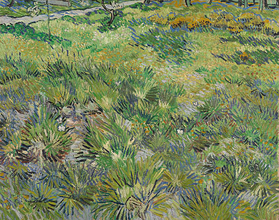 Meadow in the Garden of Saint-Paul Hospital, 1890 | Vincent van Gogh | Giclée Leinwand Kunstdruck