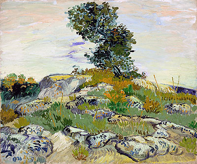 Rocks with Oak Tree, 1888 | Vincent van Gogh | Giclée Leinwand Kunstdruck
