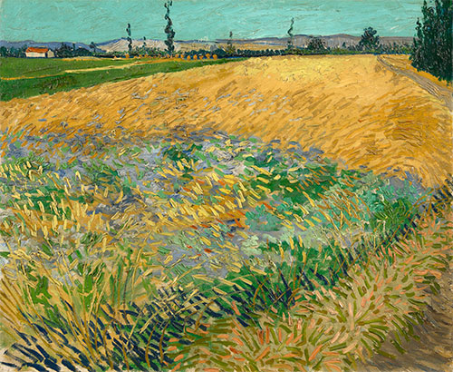Weizenfeld mit den Alpilles Vorberge, 1888 | Vincent van Gogh | Giclée Leinwand Kunstdruck