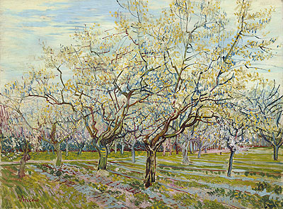 The White Orchard, 1888 | Vincent van Gogh | Giclée Leinwand Kunstdruck