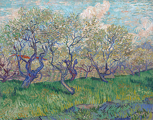 Orchard in Bloom, 1888 | Vincent van Gogh | Giclée Canvas Print