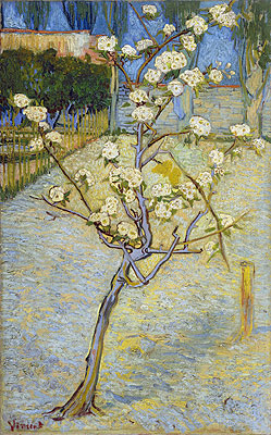 Blossoming Pear Tree, 1888 | Vincent van Gogh | Giclée Canvas Print