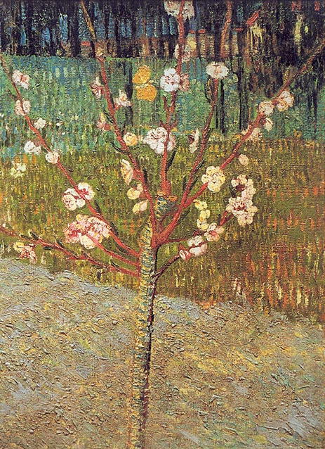 Flowering Almond Tree, 1888 | Vincent van Gogh | Giclée Canvas Print