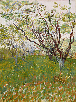 Obstgarten in Blüte, 1888 | Vincent van Gogh