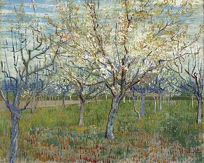 Orchard with Blossoming Apricot Trees, 1888 | Vincent van Gogh | Giclée Canvas Print