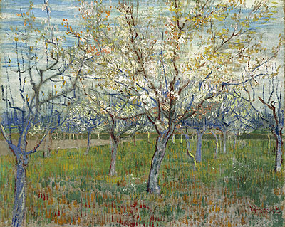 Garten mit blühenden Aprikosenbäumen, 1888 | Vincent van Gogh