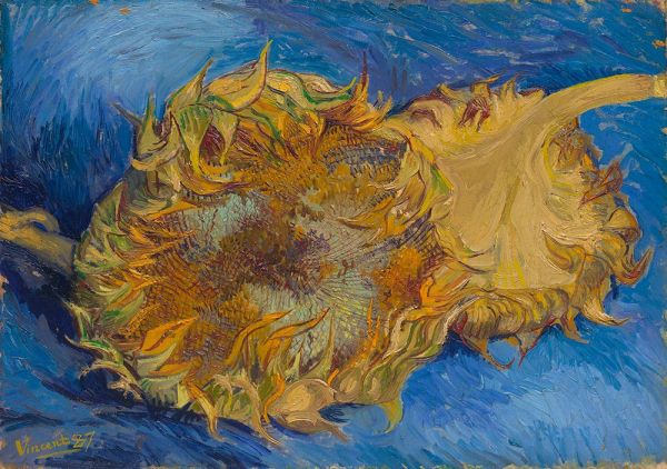 Two Cut Sunflowers, 1887 | Vincent van Gogh
