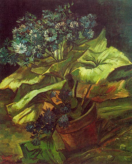 Senecio in einem Blumentopf, 1885 | Vincent van Gogh