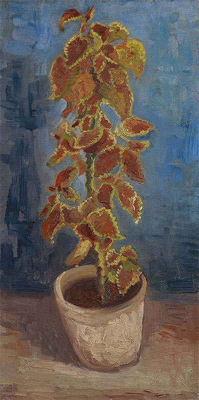 Flame Nettle in a Flowerpot, 1886 | Vincent van Gogh
