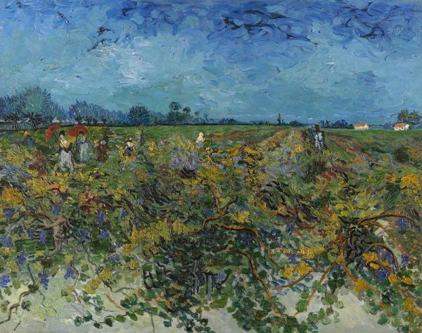 The Green Vineyard, 1888 | Vincent van Gogh | Giclée Canvas Print