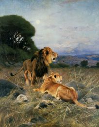 African Lions, c.1911 by Wilhelm Kuhnert | Giclée Canvas Print