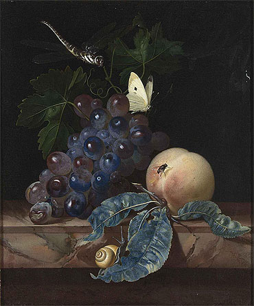 Willem van Aelst | A Still Life with Grapes, Peach, Cabbage-White and Dragon-Fly, 1665 | Giclée Canvas Print