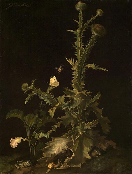 Distel mit verschiedenen Tieren, 1671 | Willem van Aelst
