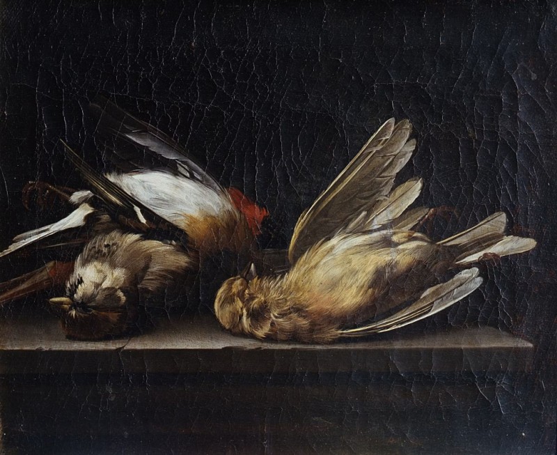 Stilleben: drei tote Vögel, 1650-1655 | Willem van Aelst | Giclée Leinwand-Kunstdruck