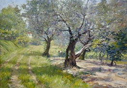 The Olive Grove | William Merritt Chase | Painting Reproduction