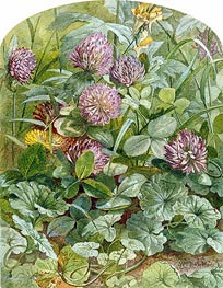 William Trost Richards | Red Clover with Butter-and-Eggs and Ground Ivy | Giclée Paper Art Print