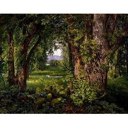 In the Woods - William Trost Richards