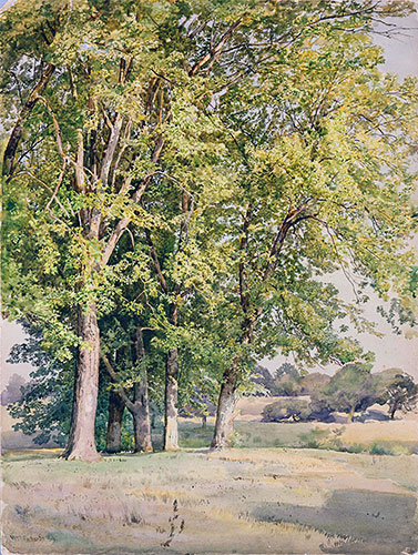 Maples in Chester County, Pennsylvania, 1889 | William Trost Richards | Giclée Paper Art Print