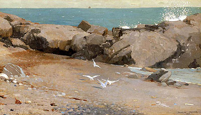 Rocky Coast and Gulls, 1869 | Winslow Homer | Giclée Leinwand Kunstdruck
