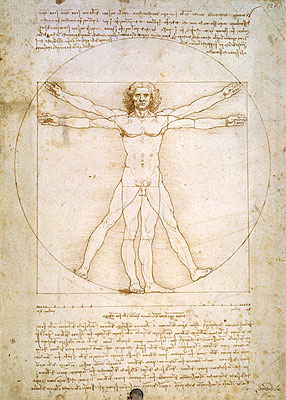 Der vitruvianische Mensch (Die Proportionen der menschlichen Gestalt), c.1492 | Leonardo da Vinci